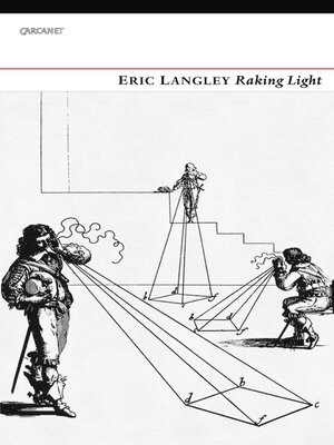 cover image of Raking Light